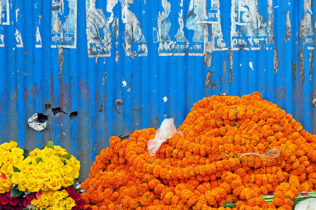 Premium Textil-Leinwand Blaue Wand auf dem Blumenmarkt