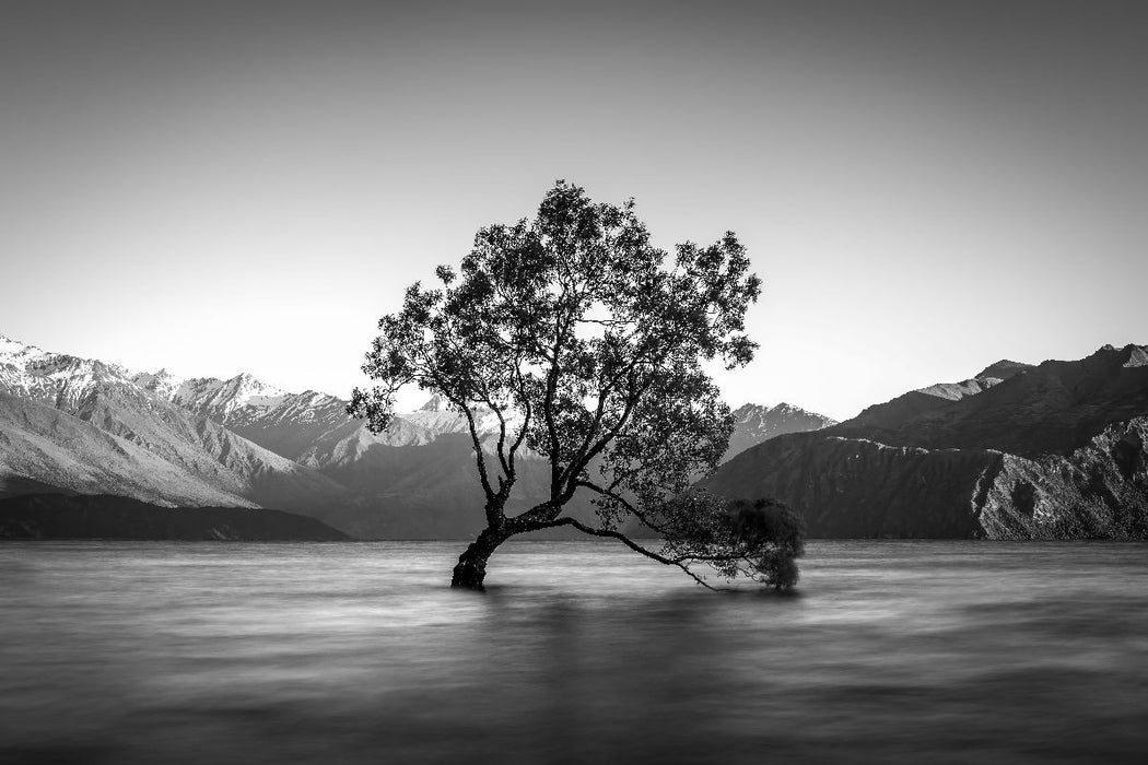 Premium Textil-Leinwand Der Baum von Wanaka - Neuseeland