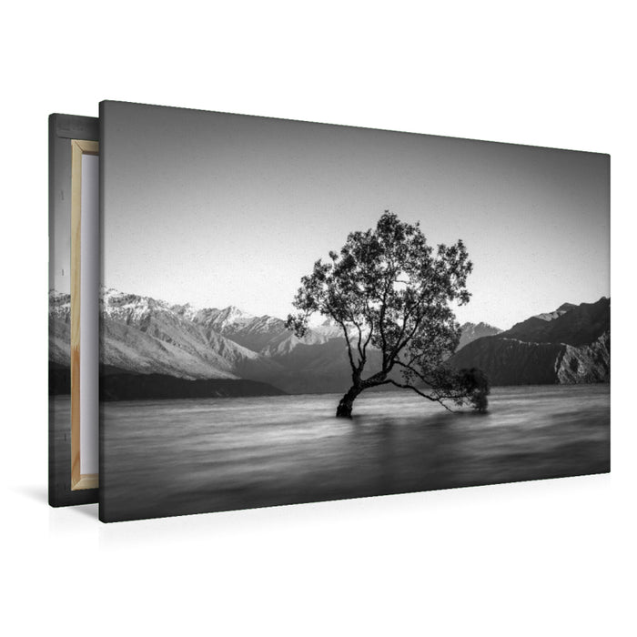 Premium Textil-Leinwand Der Baum von Wanaka - Neuseeland