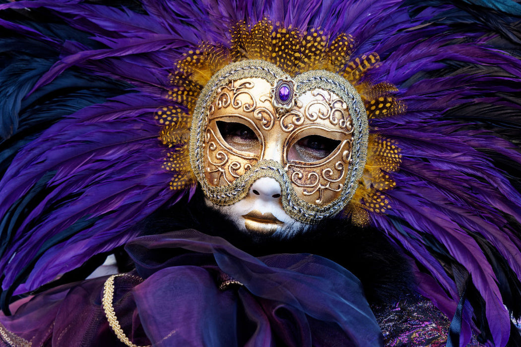 Premium Textil-Leinwand neunziggrad I photoart: Venezia Carnevale, Karneval von Venedig I Die Frau mit der Federmaske