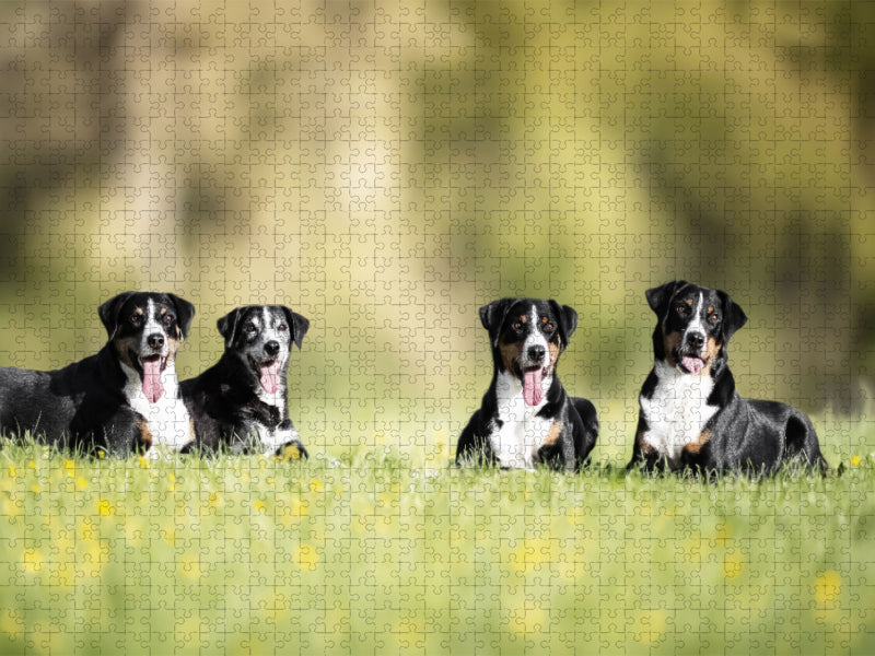 Wir sind ein Team - CALVENDO Foto-Puzzle'