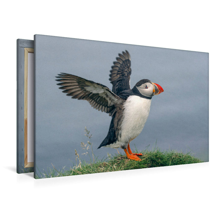 Premium Textil-Leinwand Puffin