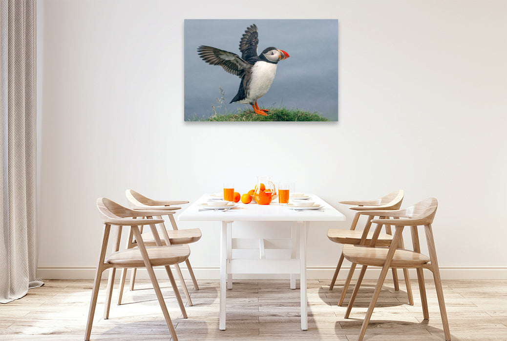 Premium Textil-Leinwand Puffin