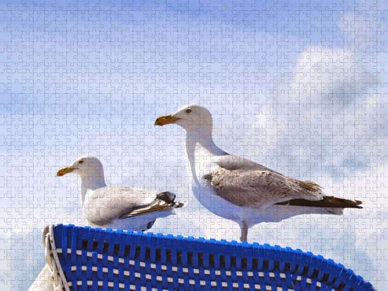 Möwen auf einem Strandkorb an der Ostsee - CALVENDO Foto-Puzzle'
