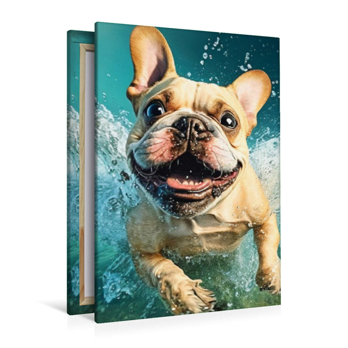 Premium Textil-Leinwand Französische Bulldogge im Wasser