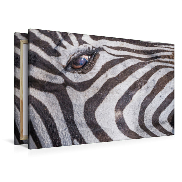 Premium Textil-Leinwand Premium Textil-Leinwand 120 cm x 80 cm quer Der Blick des Zebras