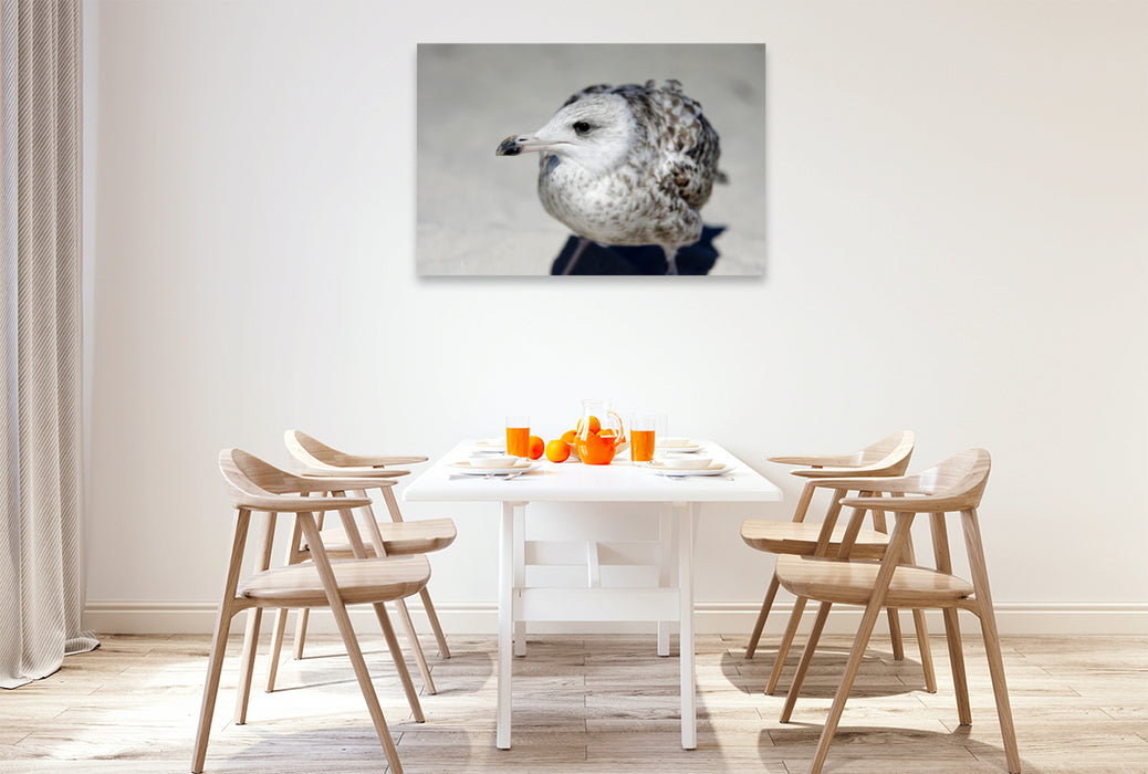 Premium textile canvas Premium textile canvas 120 cm x 80 cm landscape seagulls child 