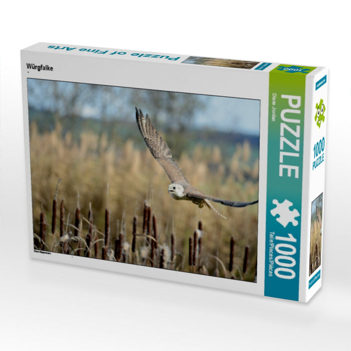 Würgfalke - CALVENDO Foto-Puzzle - calvendoverlag 29.99