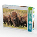 Bisons in Manitoba - CALVENDO Foto-Puzzle - calvendoverlag 29.99