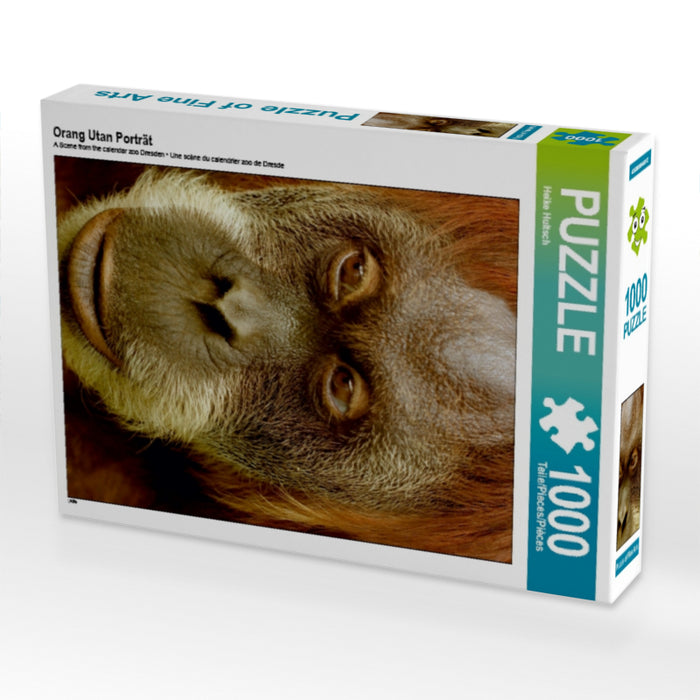 Orang Utan Porträt - CALVENDO Foto-Puzzle - calvendoverlag 29.99