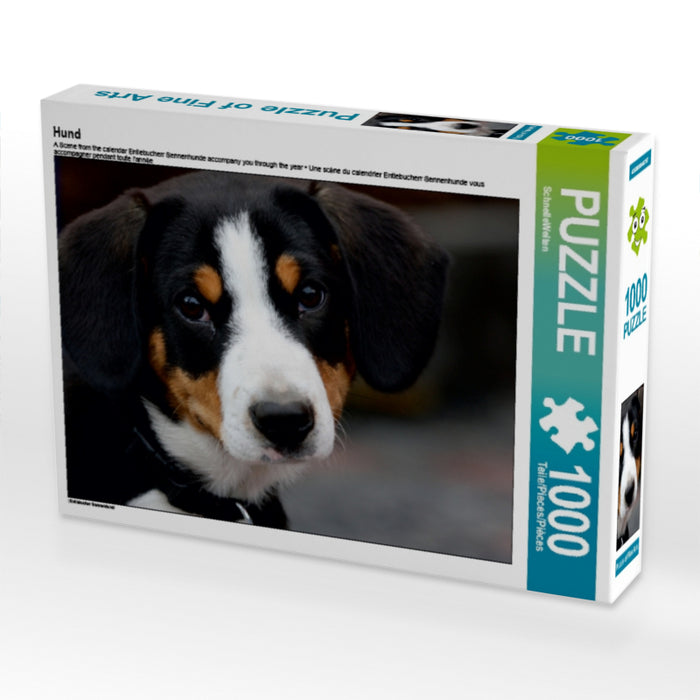 Hund - CALVENDO Foto-Puzzle - calvendoverlag 29.99