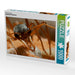 Exotische Ameisen - CALVENDO Foto-Puzzle - calvendoverlag 29.99