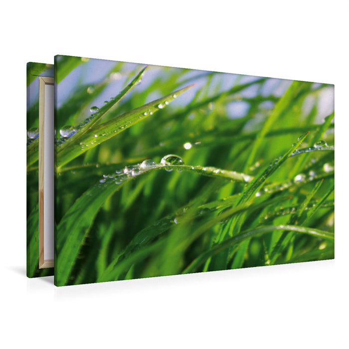 Premium textile canvas Premium textile canvas 120 cm x 80 cm landscape Wellness Grass 