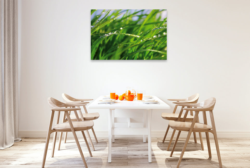 Premium textile canvas Premium textile canvas 120 cm x 80 cm landscape Wellness Grass 