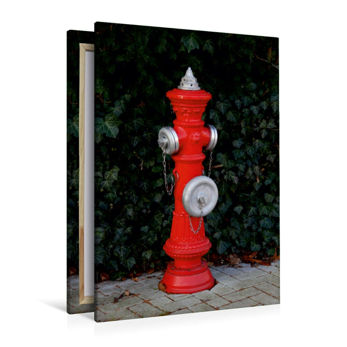 Premium Textil-Leinwand Premium Textil-Leinwand 80 cm x 120 cm  hoch Roter  Hydrant