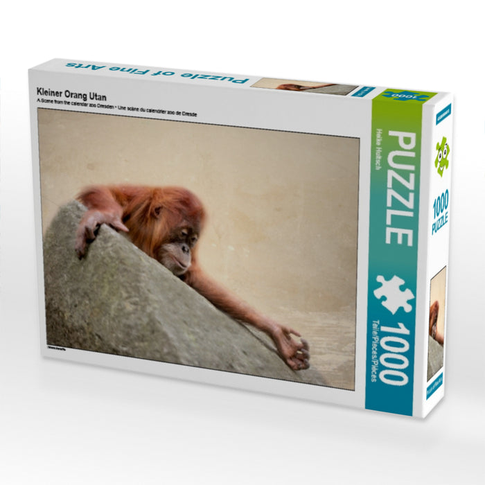 Kleiner Orang Utan - CALVENDO Foto-Puzzle - calvendoverlag 29.99
