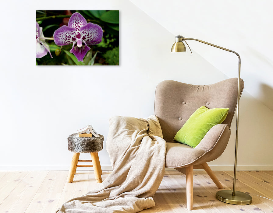 Premium Textil-Leinwand Premium Textil-Leinwand 75 cm x 50 cm quer Ein Motiv aus dem Kalender Farbenreiche Orchideen