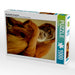 Naschender Orang Utan - CALVENDO Foto-Puzzle - calvendoverlag 29.99