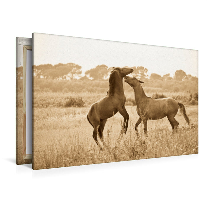 Premium Textil-Leinwand Premium Textil-Leinwand 120 cm x 80 cm quer Ein Motiv aus dem Kalender Tanz der wilden Pferde in der Camargue