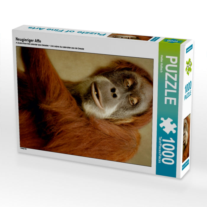 Neugieriger Affe - CALVENDO Foto-Puzzle - calvendoverlag 29.99