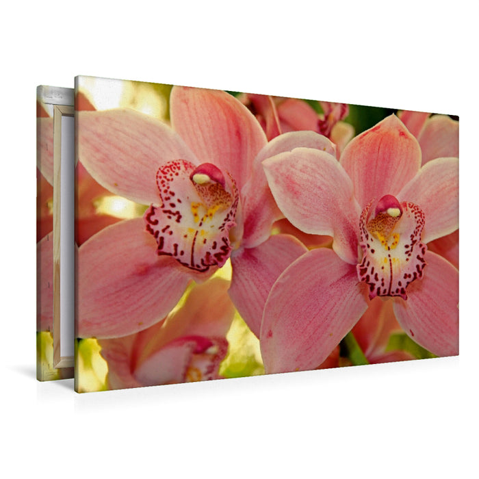 Premium Textil-Leinwand Premium Textil-Leinwand 120 cm x 80 cm quer Orchideen