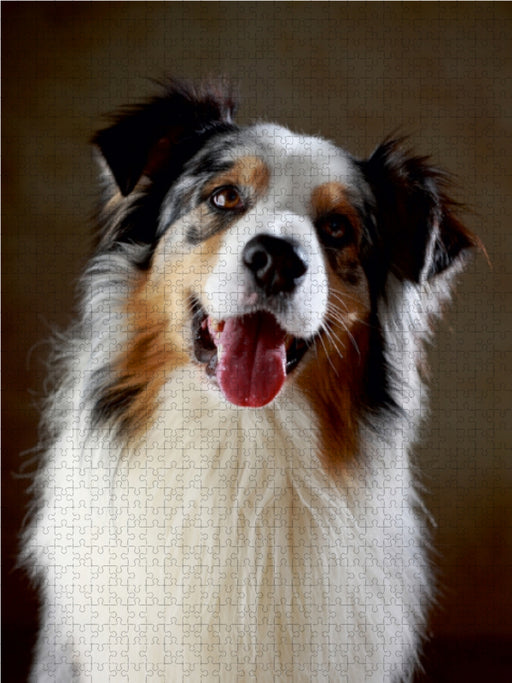 Cash, 5 Jahre - CALVENDO Foto-Puzzle - calvendoverlag 37.99