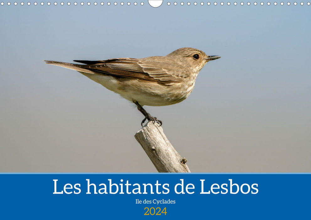 Les habitants de Lesbos Ile des cyclades (CALVENDO Calendrier mensuel 2024)