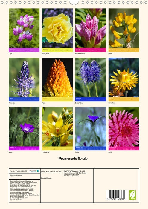 Promenade florale (CALVENDO Calendrier mensuel 2024)