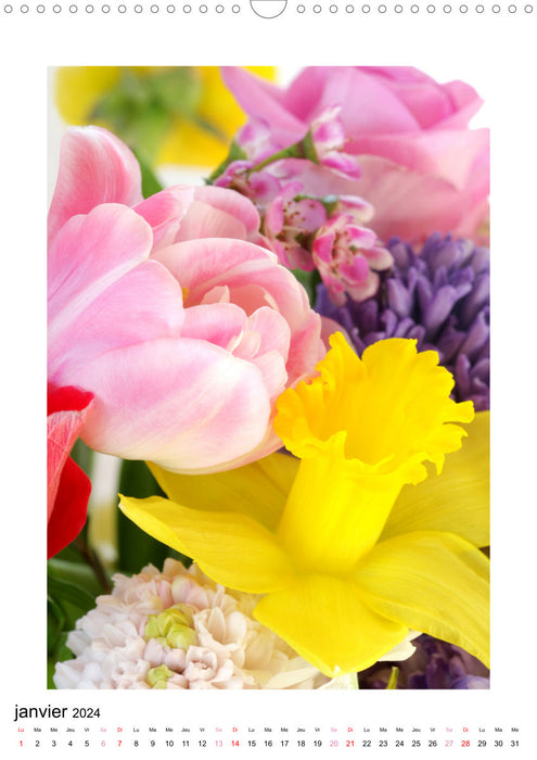 Fleurs fascinantes aux couleurs vives (CALVENDO Calendrier mensuel 2024)