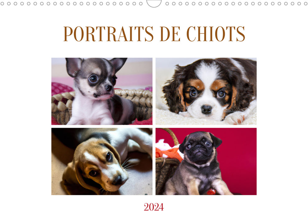 Portraits de chiots (CALVENDO Calendrier mensuel 2024)