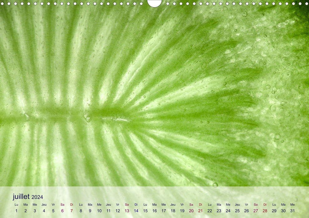 Cœur de fruits cœur de légumes (CALVENDO Calendrier mensuel 2024)