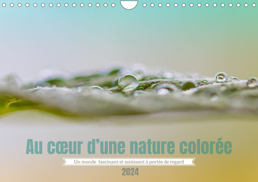 Au cœur d'une nature colorée (CALVENDO Calendrier mensuel 2024) 
