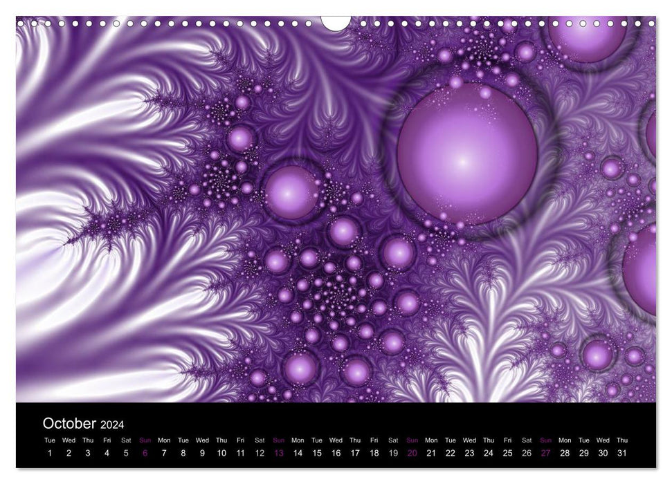 La couleur violet / version britannique (calendrier mensuel CALVENDO 2024) 