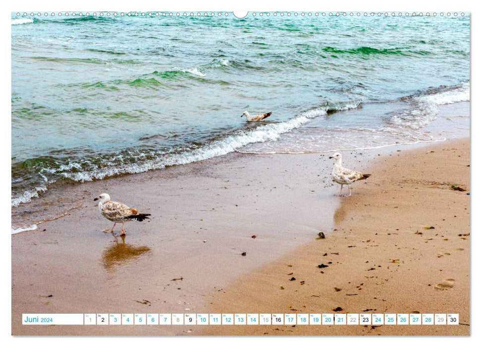 Warnemünde - Sommer, Sonne und Sand im Schuh (CALVENDO Wandkalender 2024)