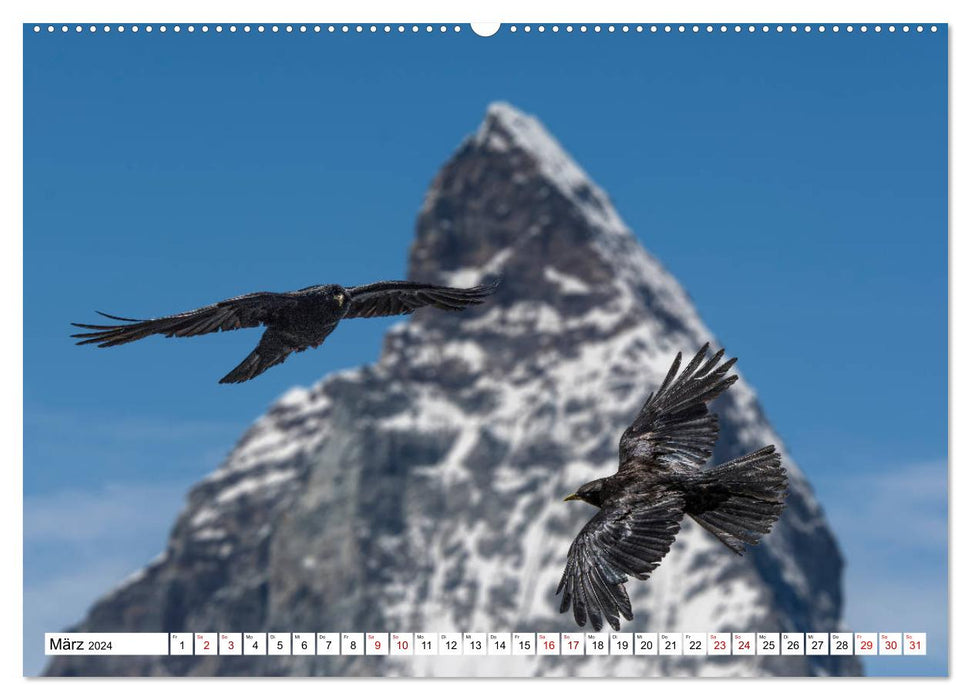 Naturerlebnis Matterhorn (CALVENDO Wandkalender 2024)