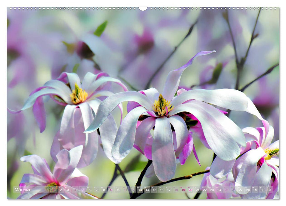 Blumenfeier (CALVENDO Premium Wandkalender 2024)