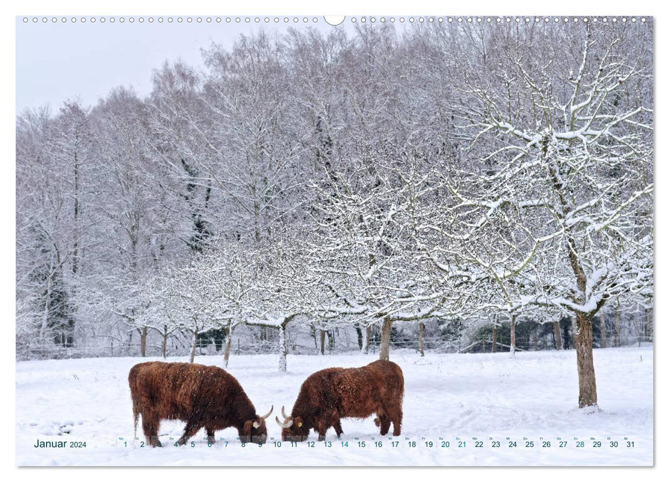 Kostbares Kelkheim - Idylle am Taunus (CALVENDO Wandkalender 2024)