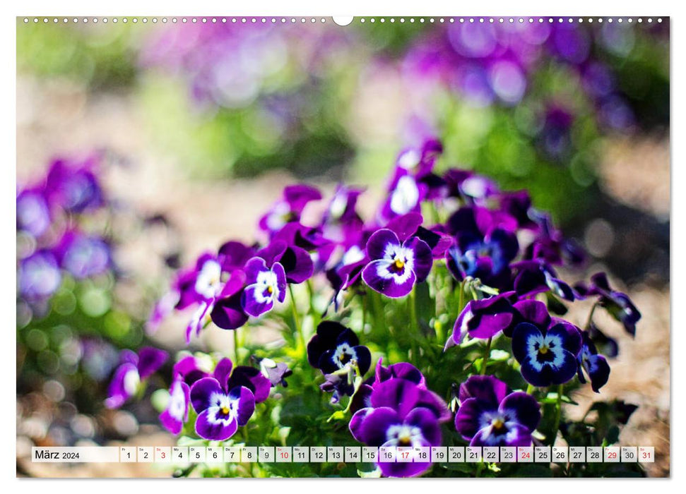 Garden joy for the whole year! (CALVENDO wall calendar 2024) 