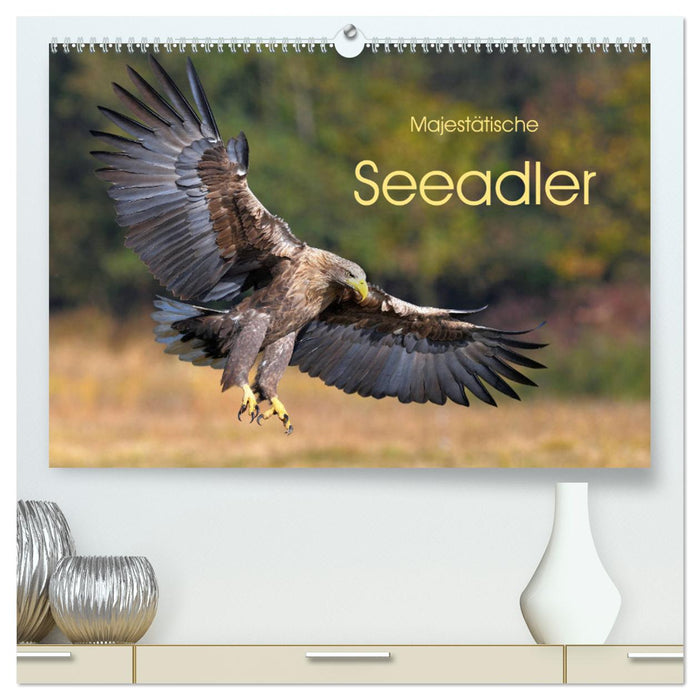 Majestätische Seeadler (CALVENDO Premium Wandkalender 2024)