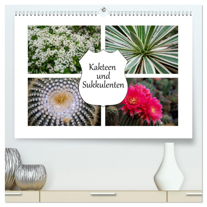 Cacti and succulents (CALVENDO Premium Wall Calendar 2024) 