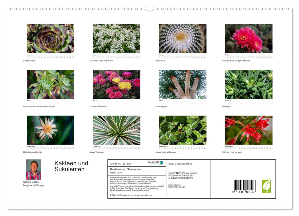 Cacti and succulents (CALVENDO Premium Wall Calendar 2024) 