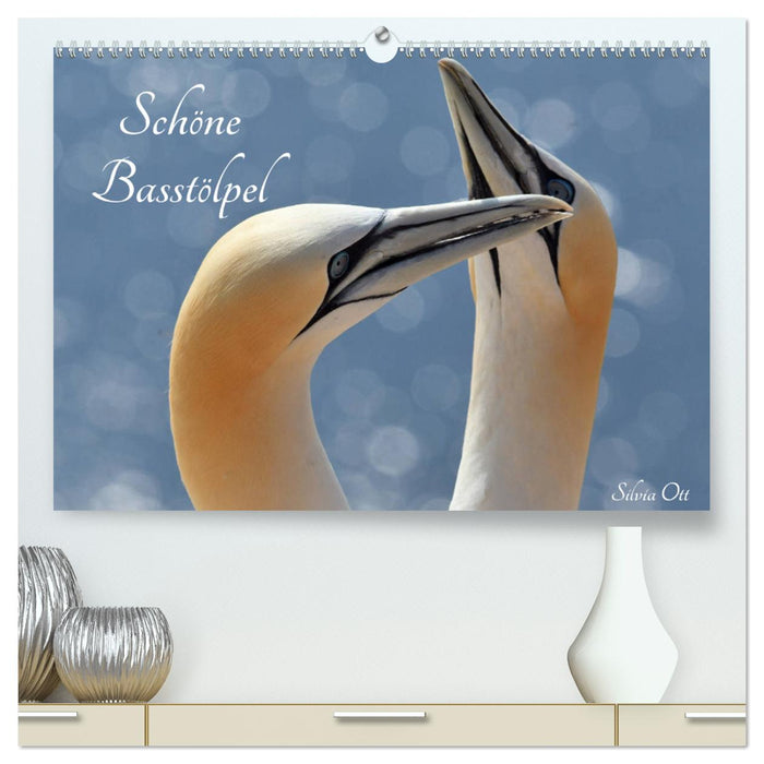 Beautiful Northern Gannets (CALVENDO Premium Wall Calendar 2024) 