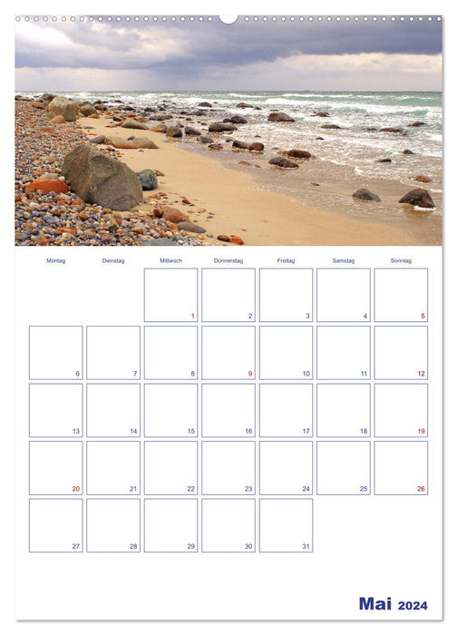 Traumhafte Ostseestrände - Entlang der Küste von Fehmarn bis Rüge (CALVENDO Wandkalender 2024)