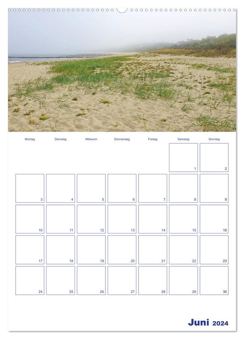 Fantastic Baltic Sea beaches - along the coast from Fehmarn to Rüge (CALVENDO wall calendar 2024) 