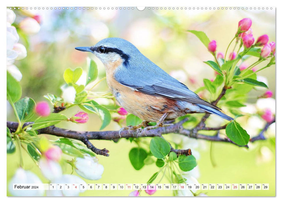 Garden joy for the whole year! (CALVENDO Premium Wall Calendar 2024) 