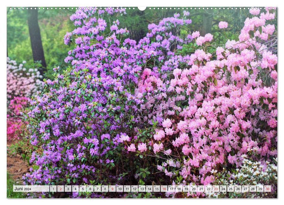 Gartenfreude für das ganze Jahr! (CALVENDO Premium Wandkalender 2024)