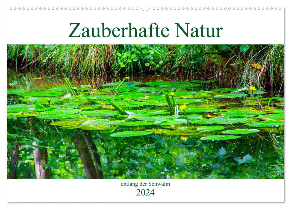 Magical nature along the Schwalm (CALVENDO wall calendar 2024) 