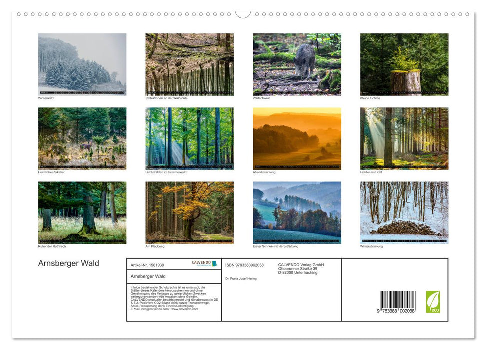 Arnsberg Forest (CALVENDO Premium Wall Calendar 2024) 