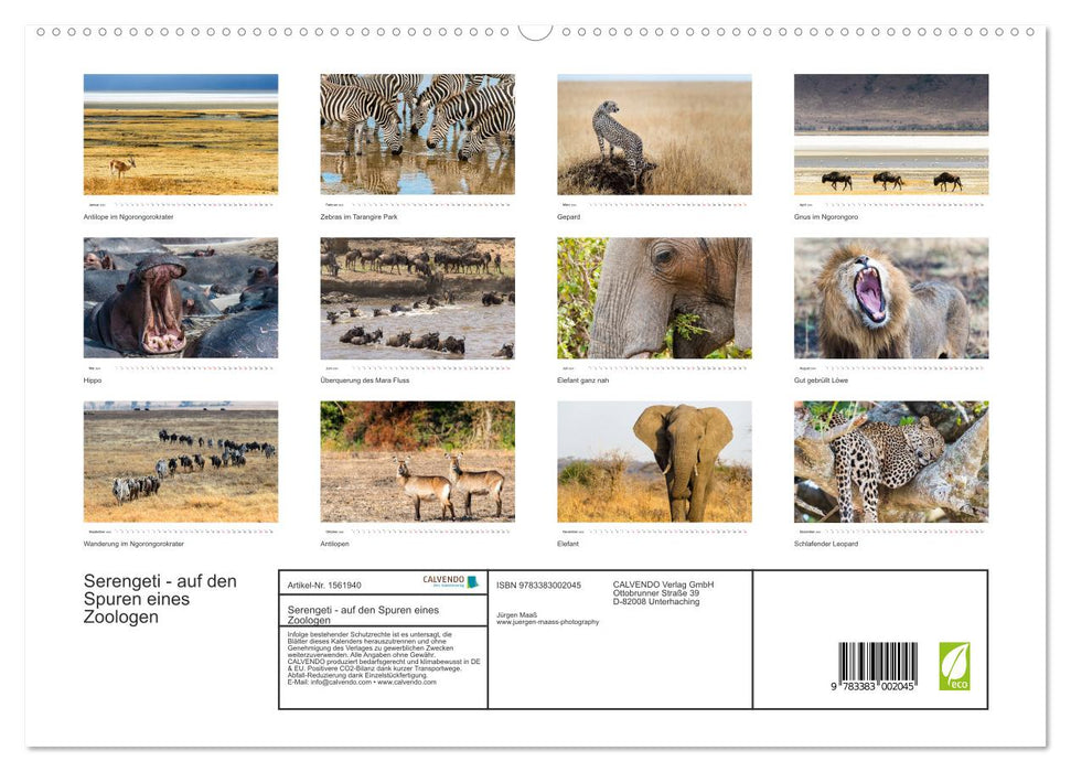 Serengeti - on the trail of a zoologist (CALVENDO Premium Wall Calendar 2024) 