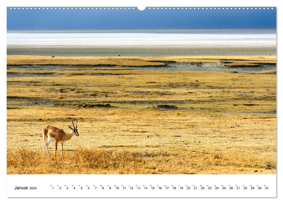 Serengeti - on the trail of a zoologist (CALVENDO Premium Wall Calendar 2024) 